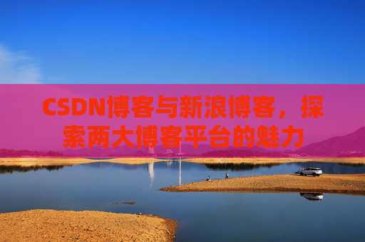 CSDN博客与新浪博客，探索两大博客平台的魅力