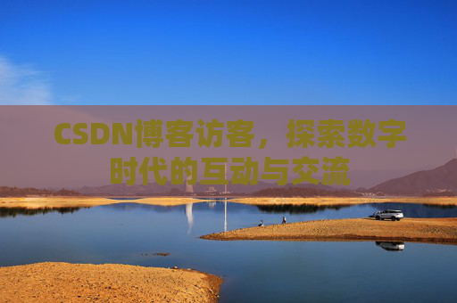 CSDN博客访客，探索数字时代的互动与交流